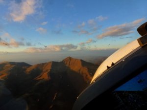 p1310506